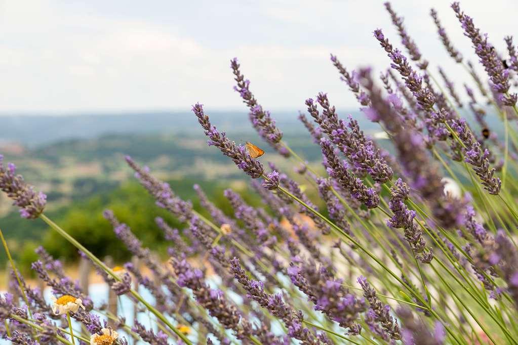 מלון Loubressac Le Relais De Castelnau מראה חיצוני תמונה